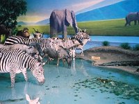 photos 2000-200901017